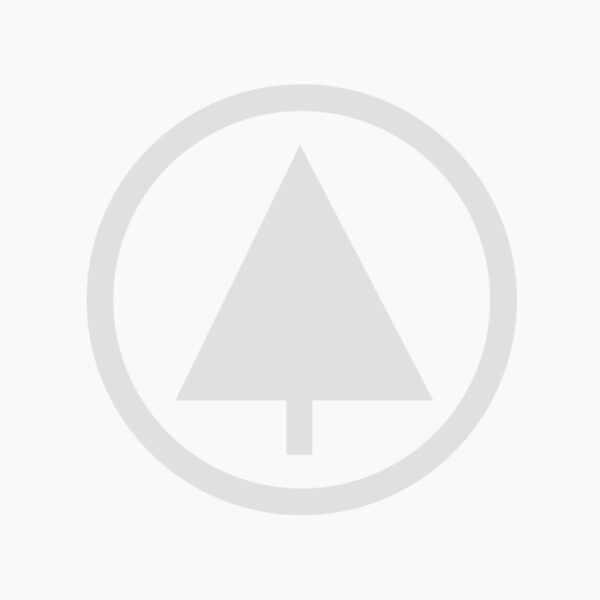 Classic wooden chair